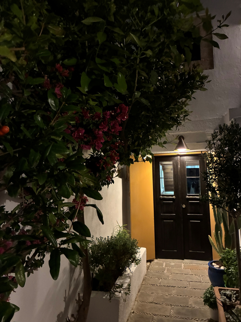 Garten_2026_Nacht